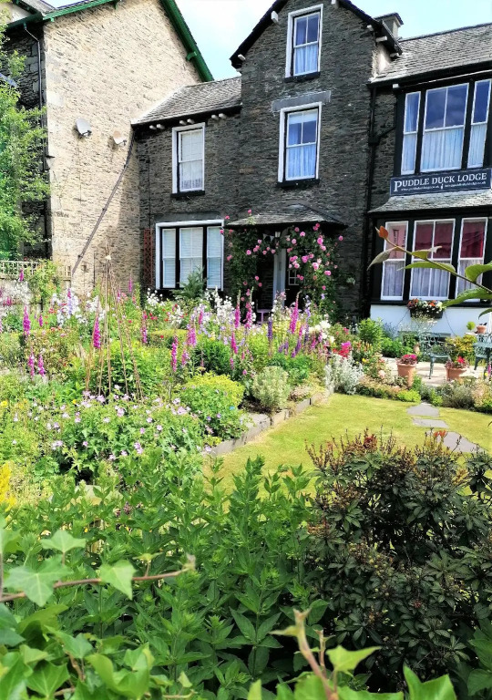Puddle Duck Lodge