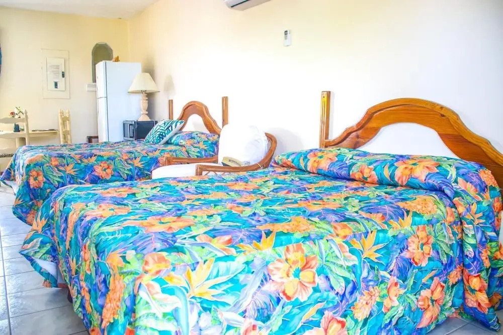 Negril Studio Terez