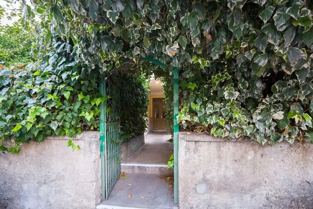 Apartment Signorina Leticija