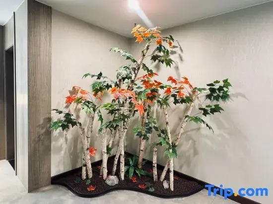 Wyndham Garden Hotel  (Urumqi Tianshan International Airport)