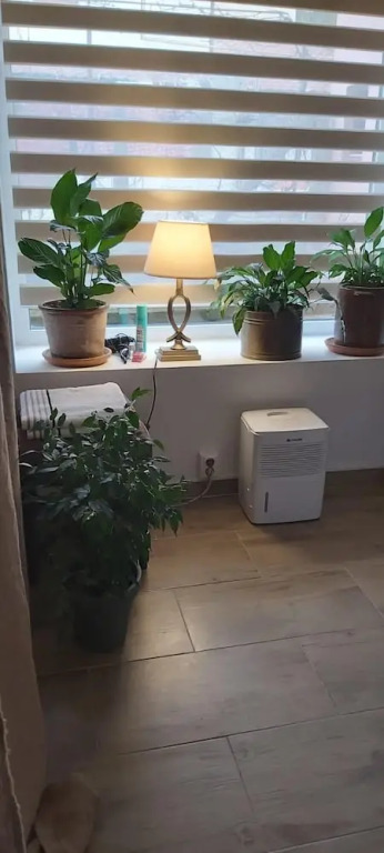 Studio in Cluj-napoca, With Terrace and Wifi