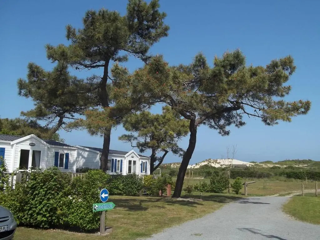 Camping Paradis Les Galets de la Molliere