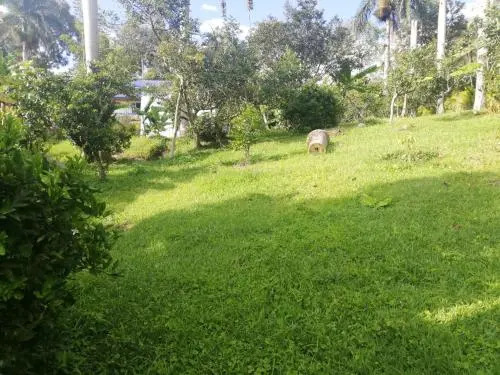 Finca el Edén