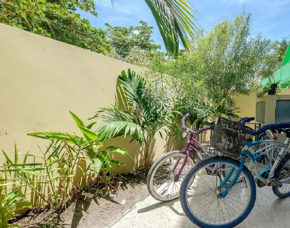 BELIZE TROPICAL DREAM VILLAS