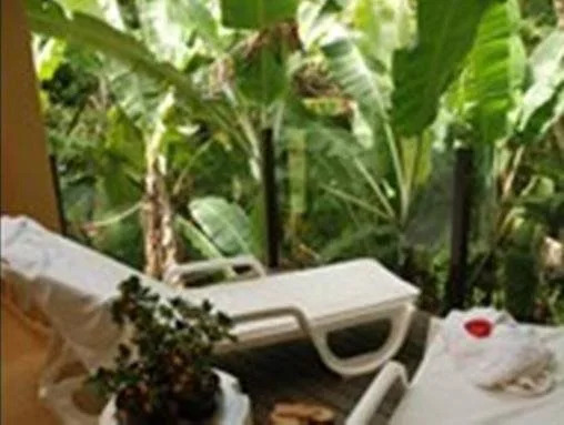 Palmas Hotel & Spa