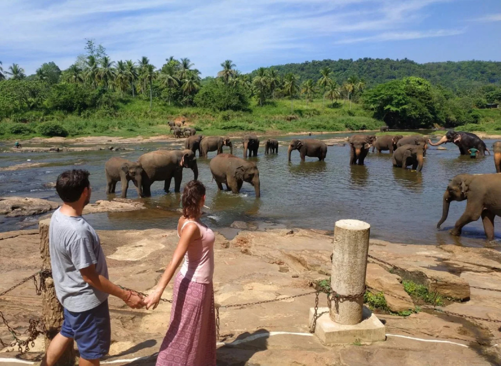 Elepath Lodge Pinnawala