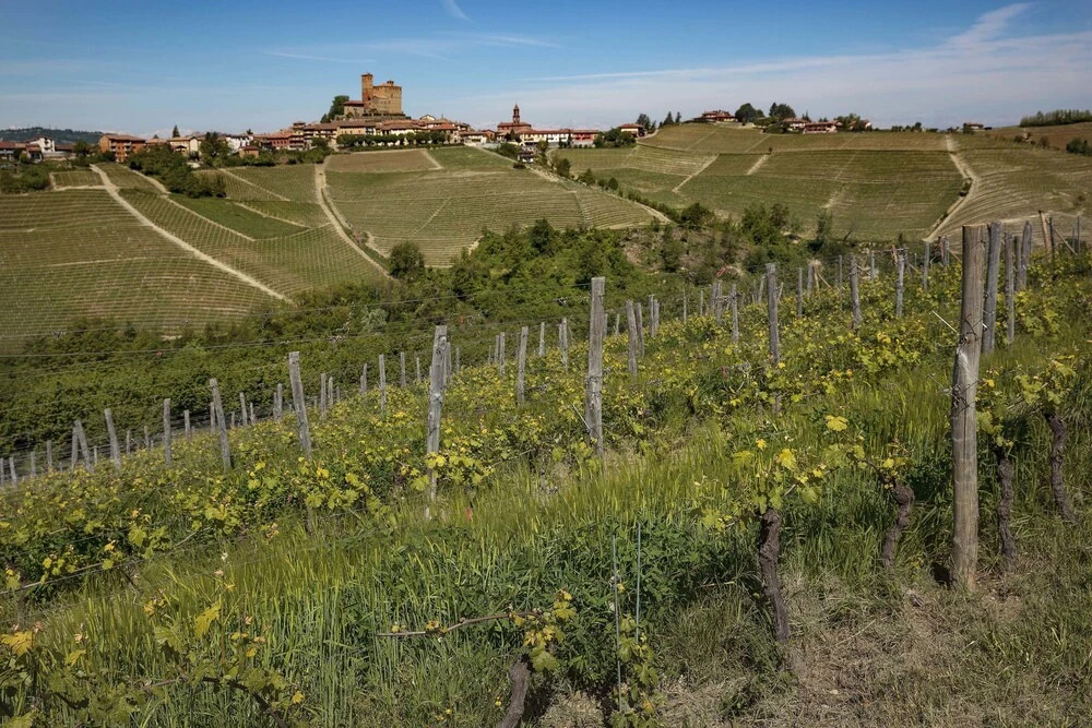 Agriturismo Rivetto
