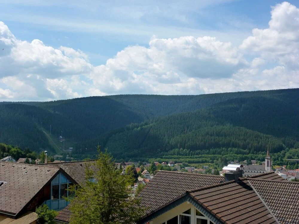 Blank Titisee-neustadt
