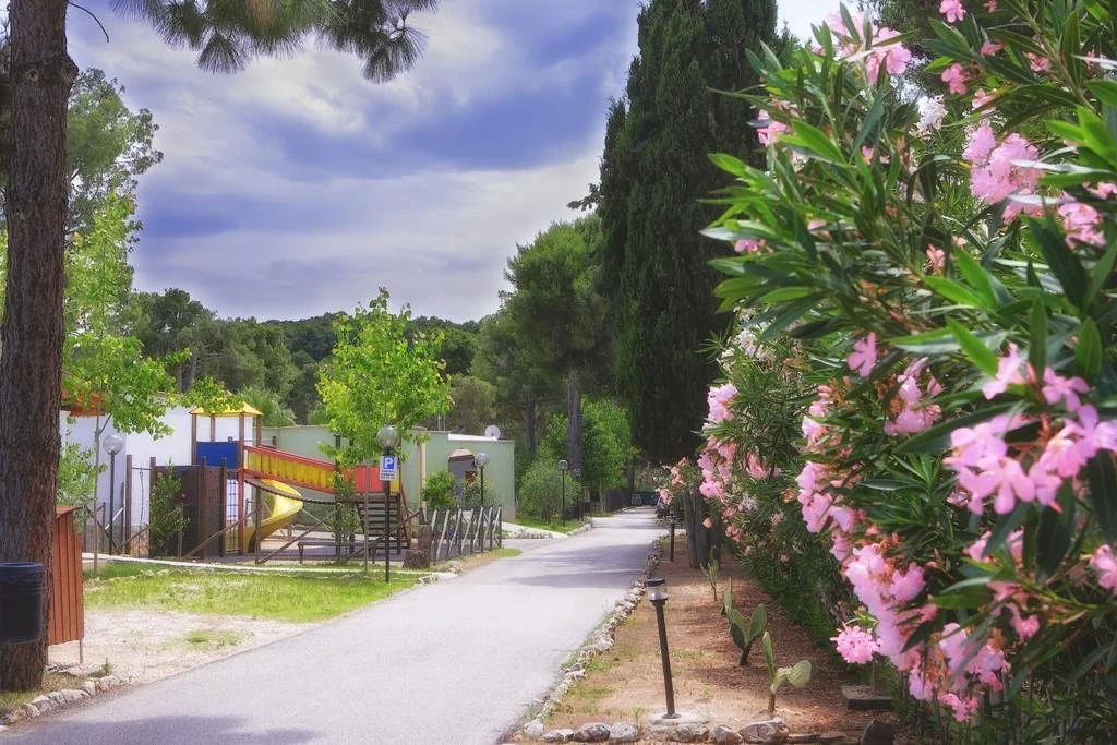 Selva Dei Pini