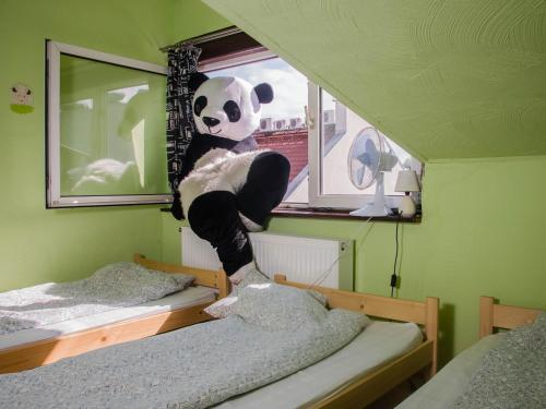 Panda Hostel