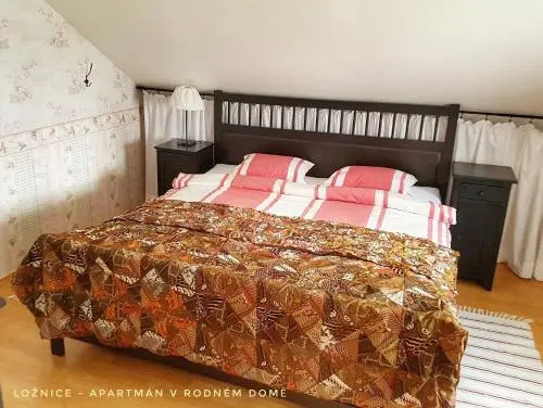 Apartmá v Rodném domě Vincenze Priessnitze v centru lázní