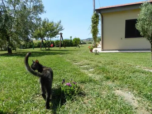 Agriturismo Severini