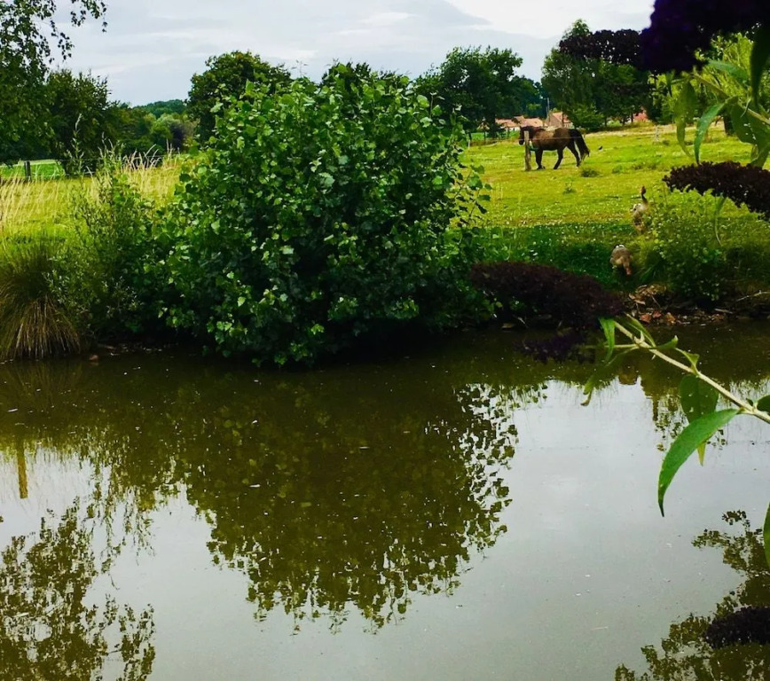 Paardenhof Guesthouse