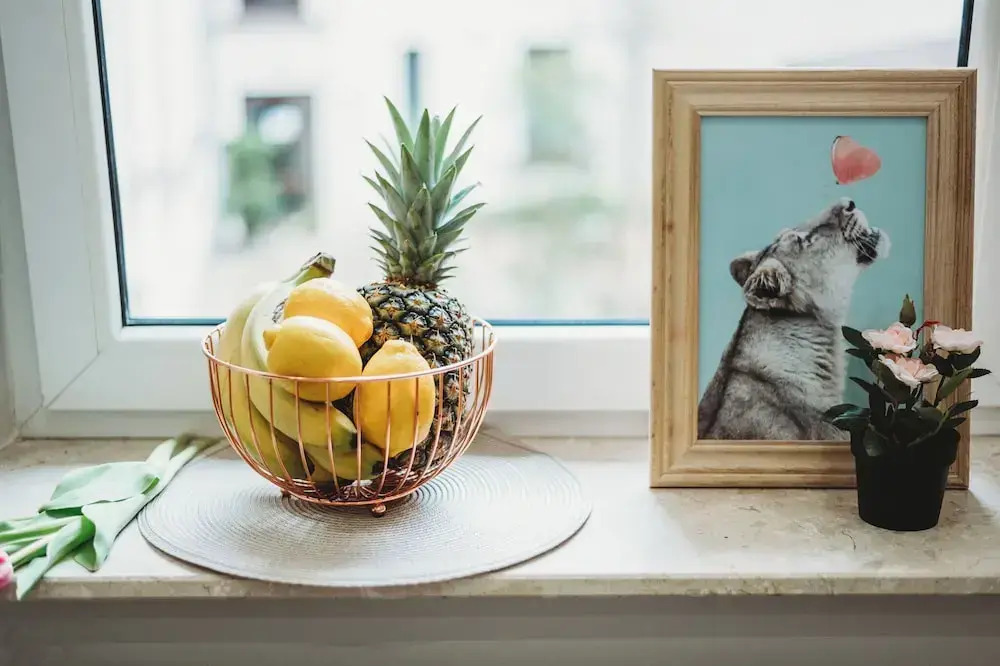 FatCat Apartments