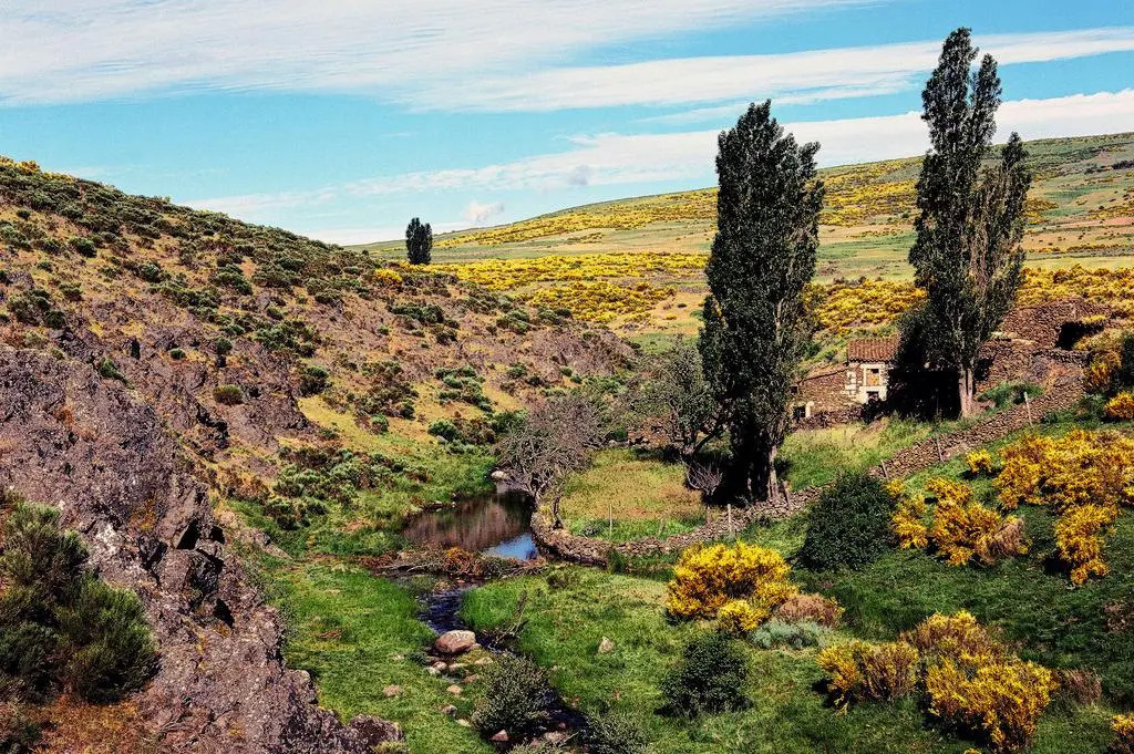 Hotel Rural La Dehesilla