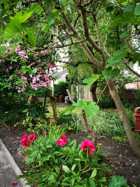 Chimneys Guest House
