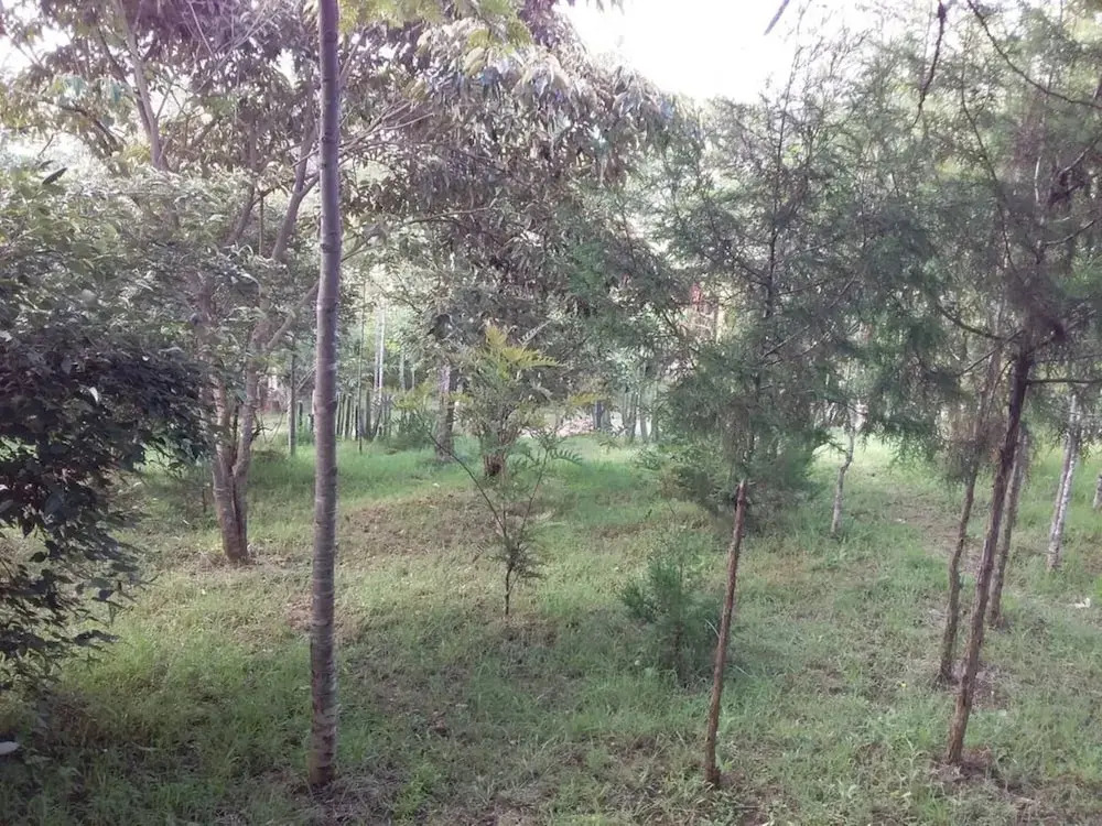 Ngari Hill Economy Accommodation