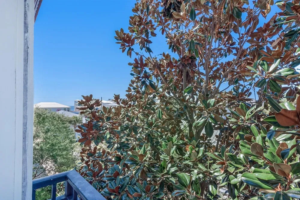 Sea-Esta Villa on 30A