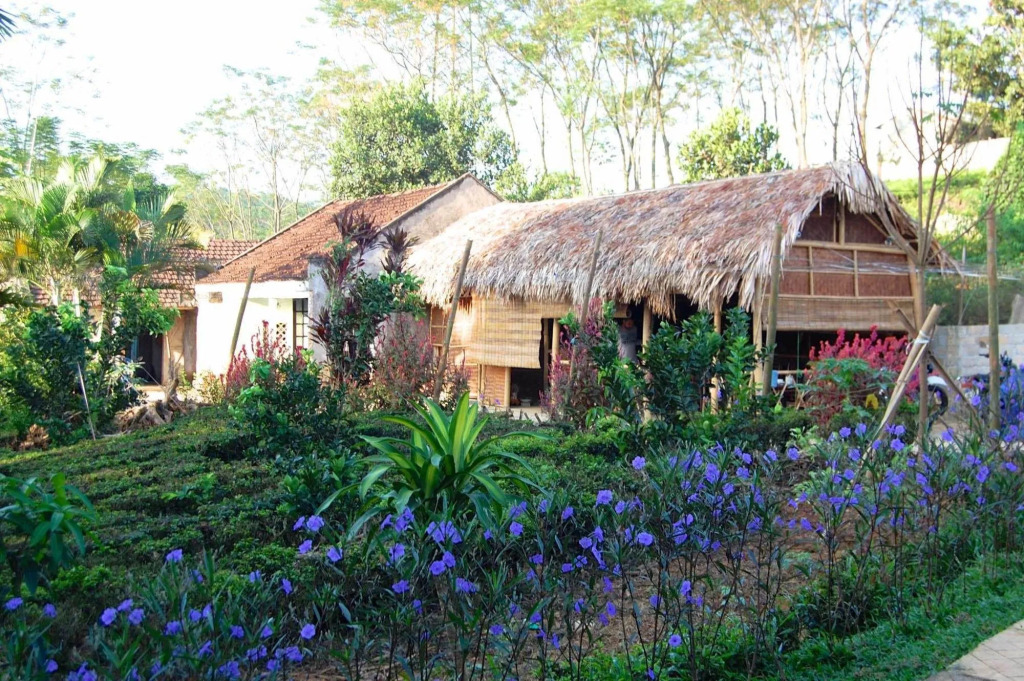 Family Homestay Ba Vi - Hostel