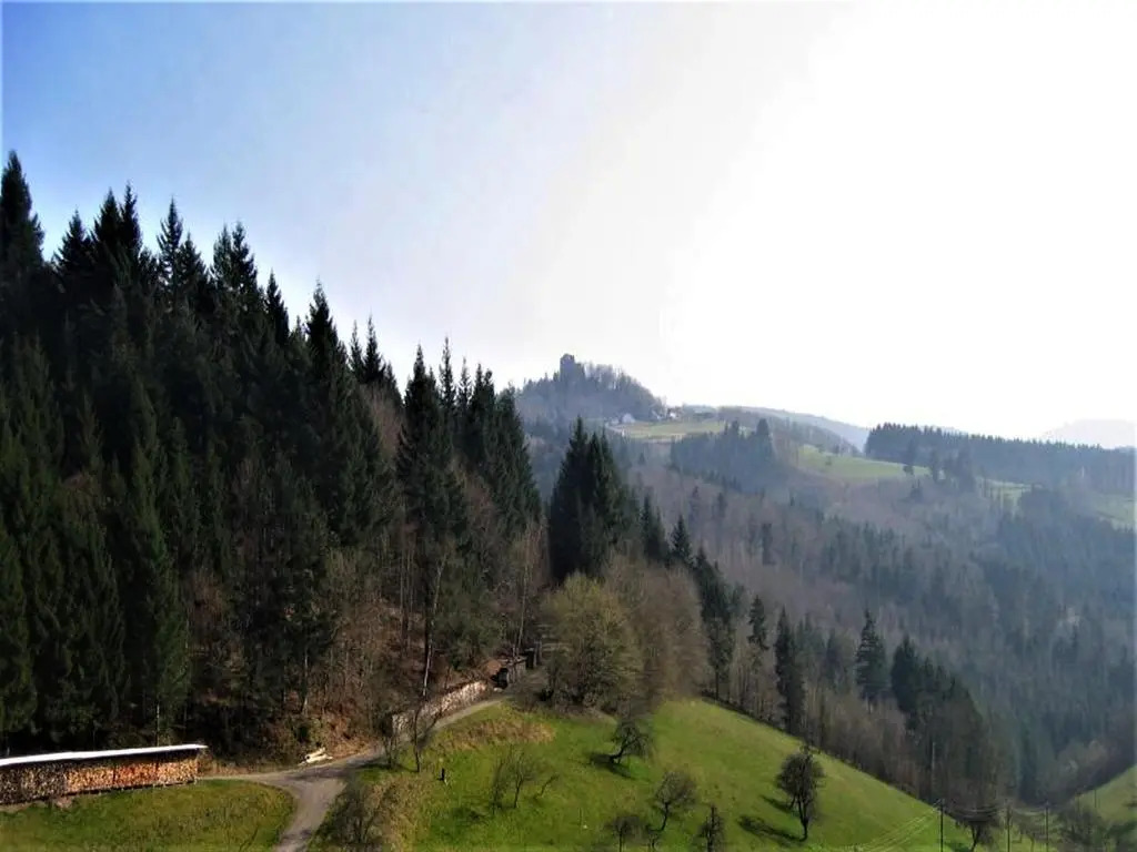 Ferienwohnung Burgblick