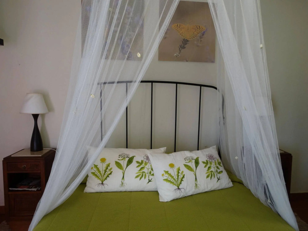Casa Das Palmeiras-Pedagogic Farm