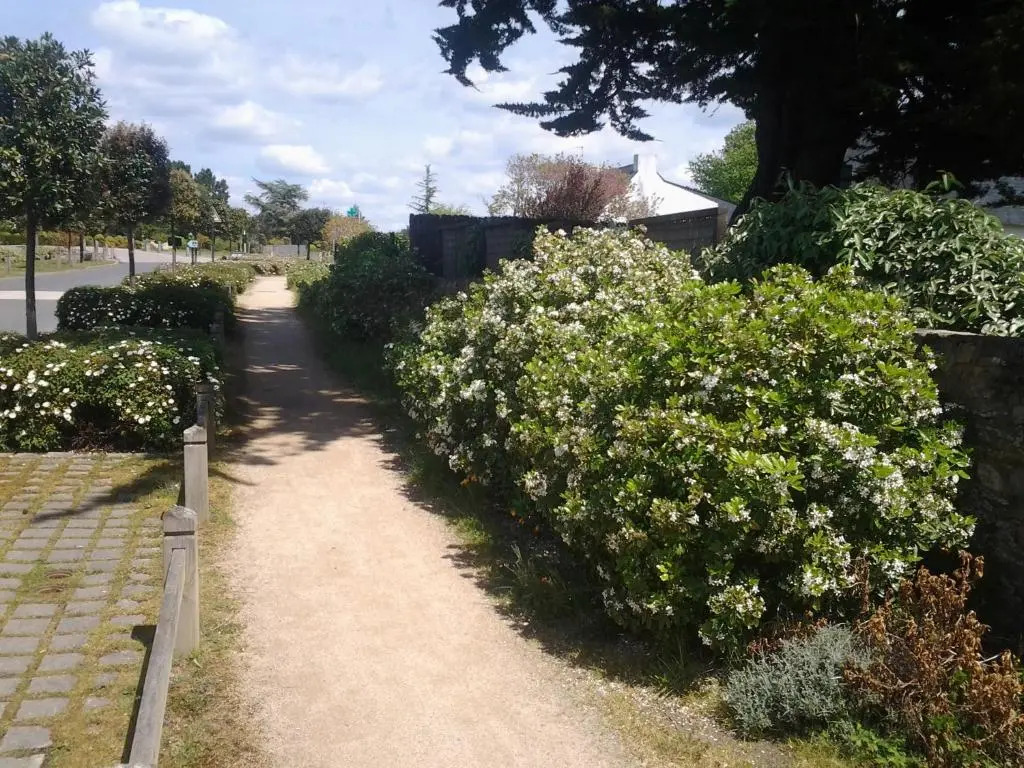 Auprès de mon arbre