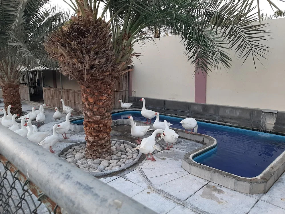 Asahalah Farm Pool Villas