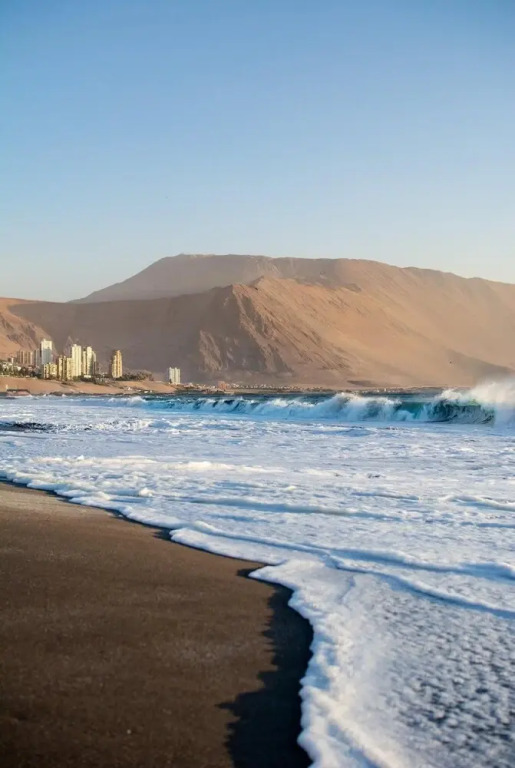 Pacifico Arica Parque Socoroma