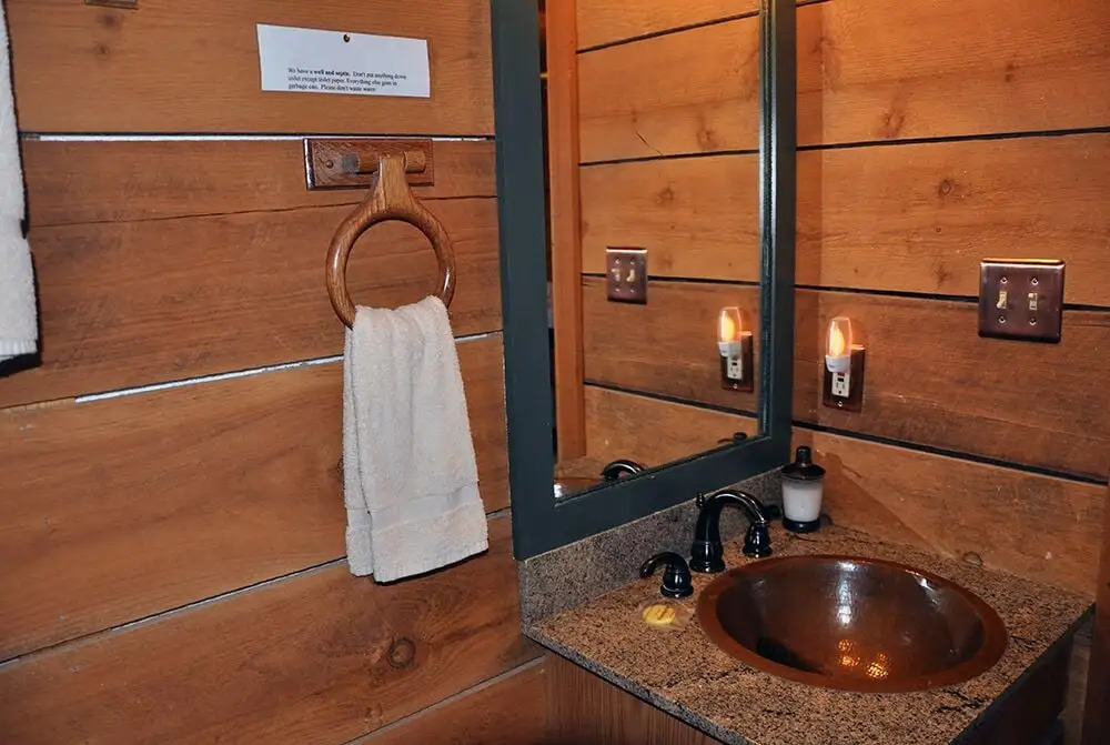 Mountain Bearadise 2 Bedrooms 2 Bathrooms Cabin