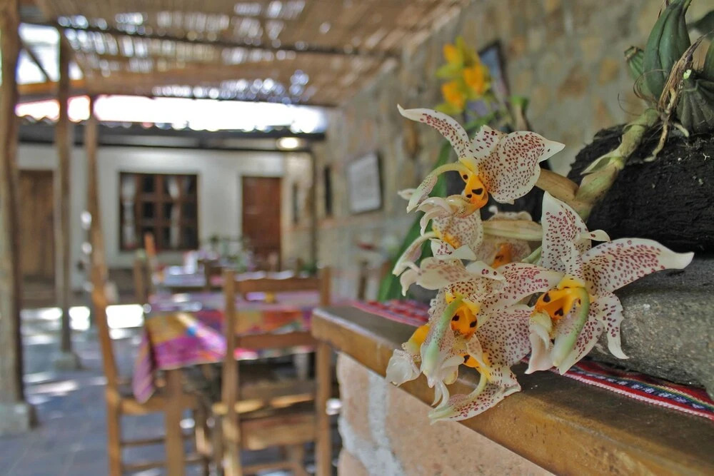 Casa Q'eqchi' - Adults only