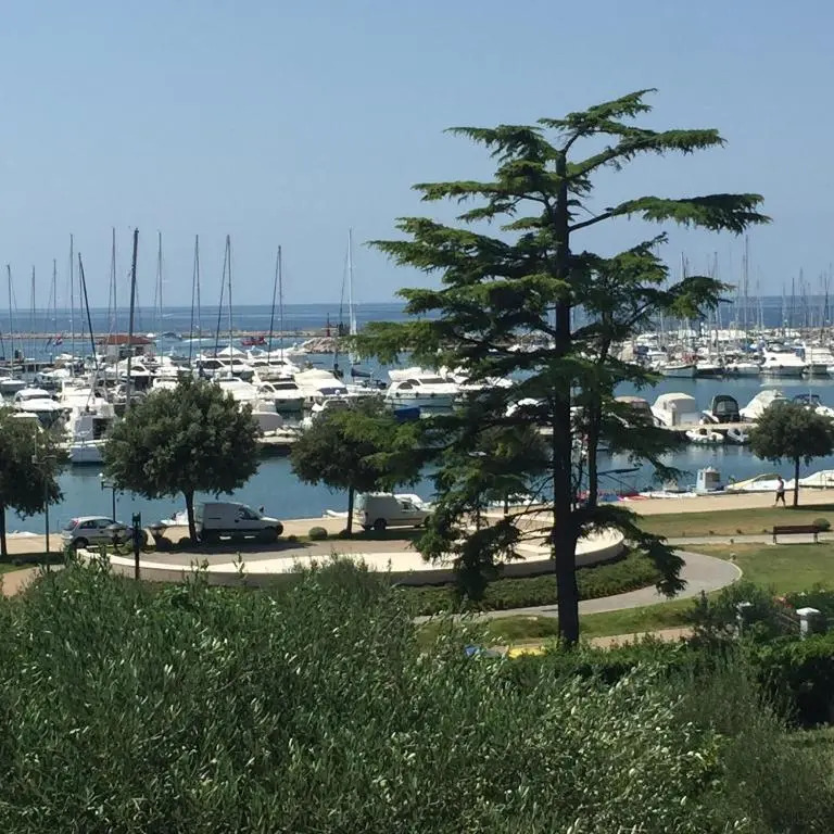 Seafront Apartment Jadri