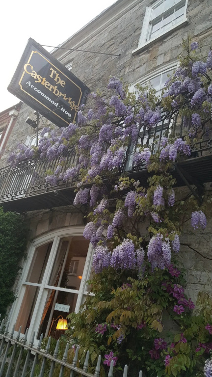The Casterbridge