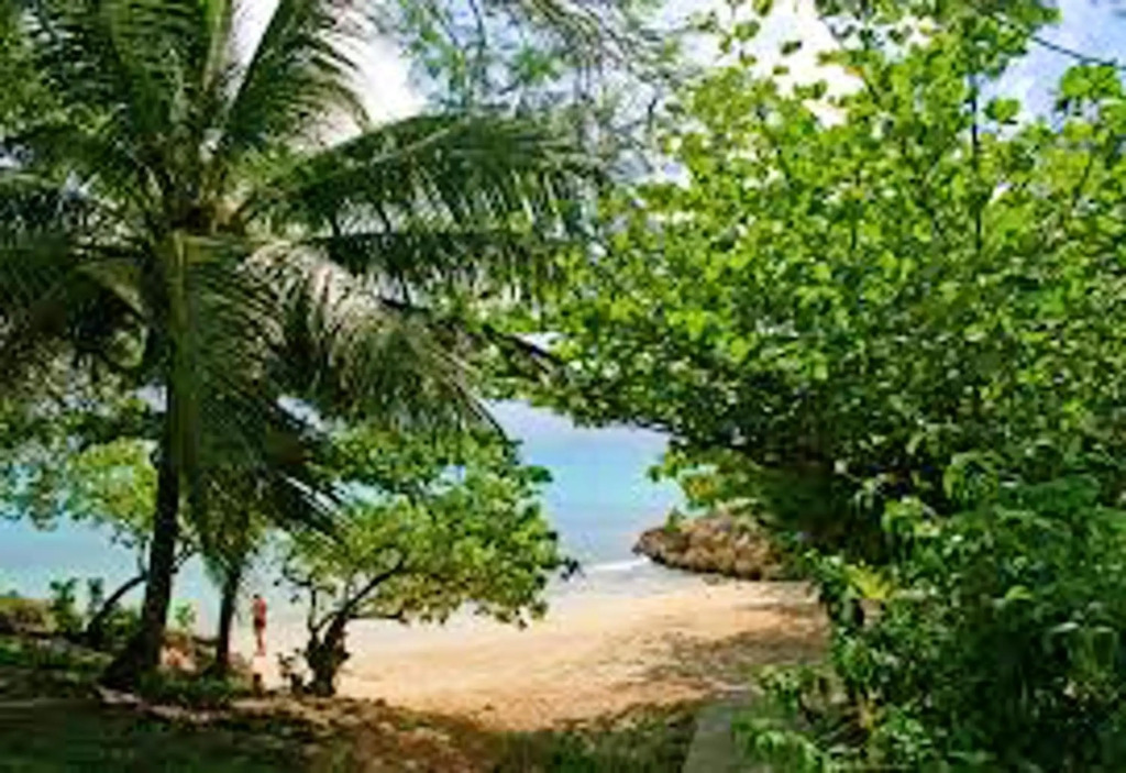 Maison de 2 chambres avec jardin clos et wifi a Le Gosier a 3 km de la plage