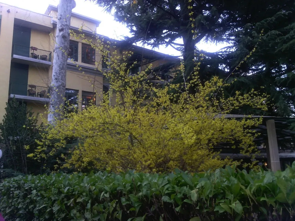 Hotel Salus