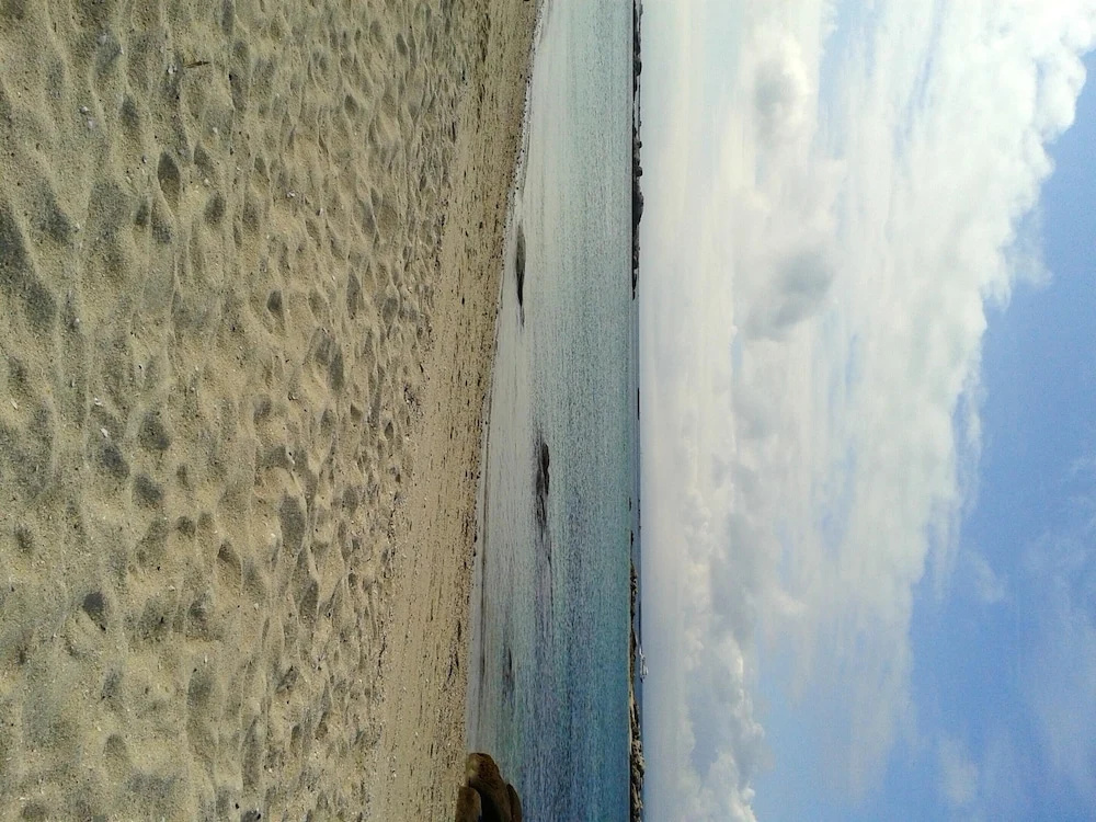Apartment With one Bedroom in El Grove, With Wonderful sea View - Near the Beach