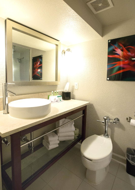 Hotel Indigo Saint Louis Central West End by IHG