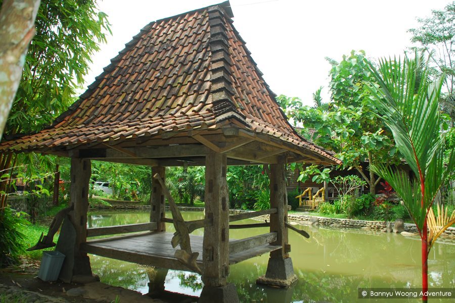 The Pikas Resort