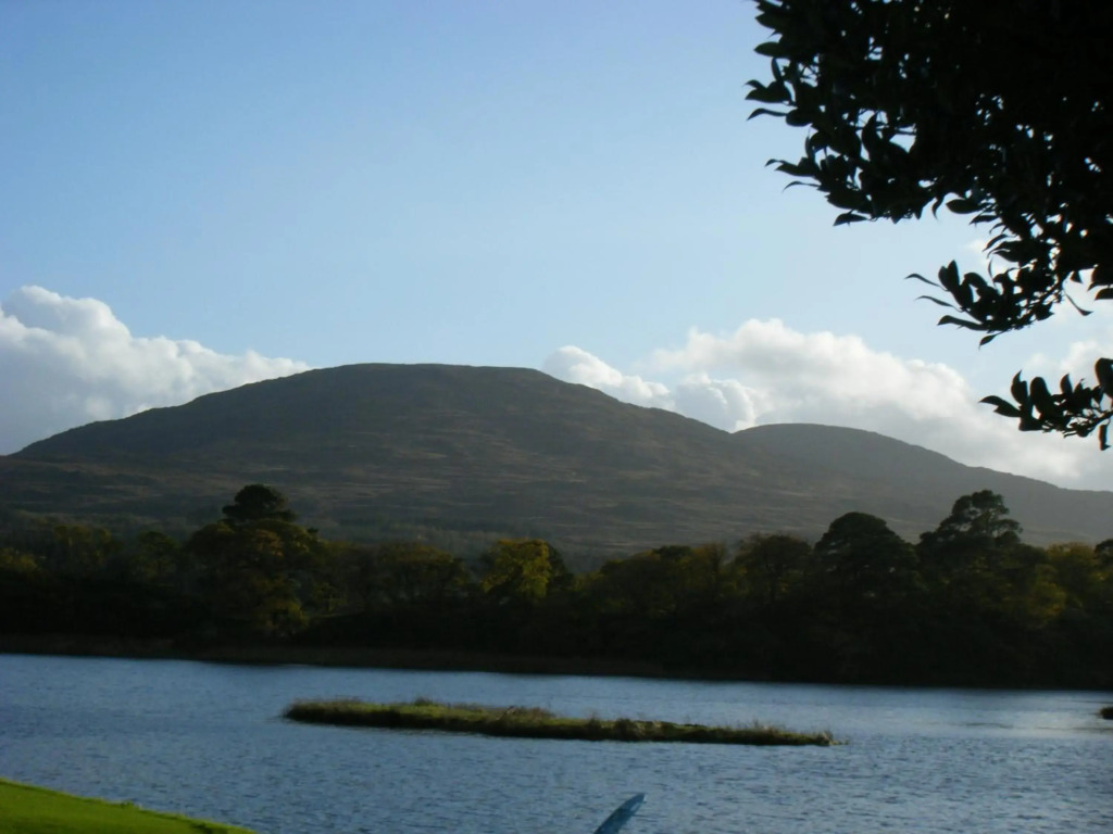 Ashfield B&B