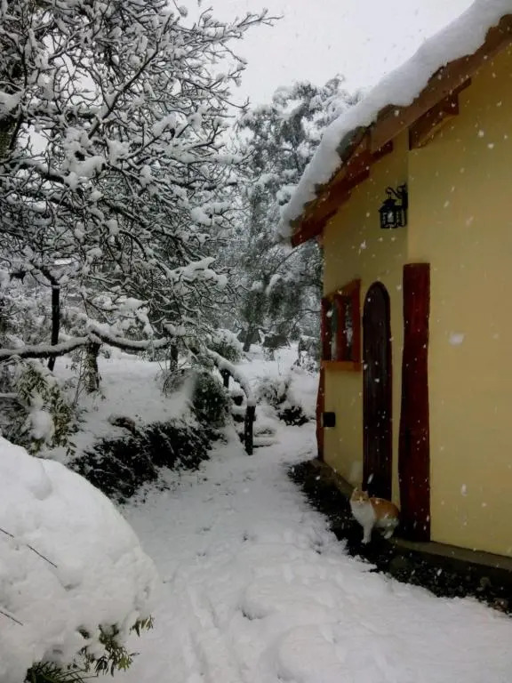 Cabaña Cafuné