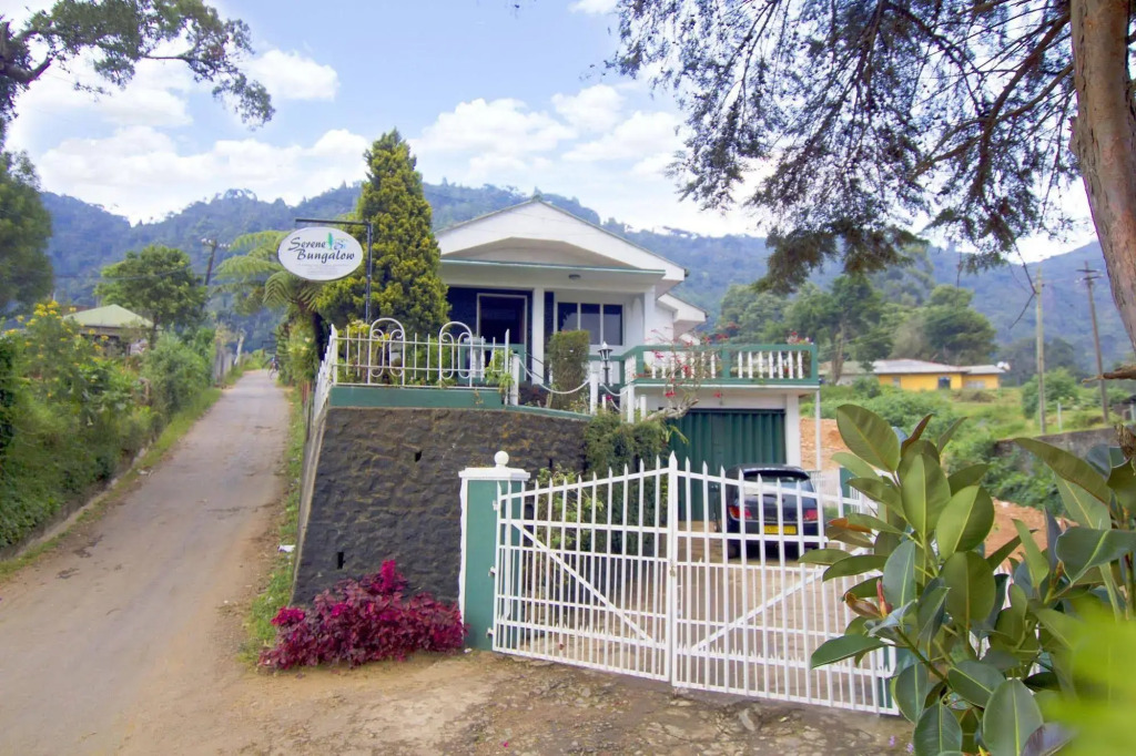 Serene Bungalow