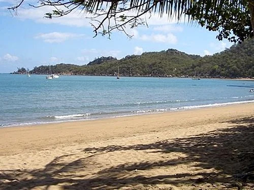 Canopy Chalets