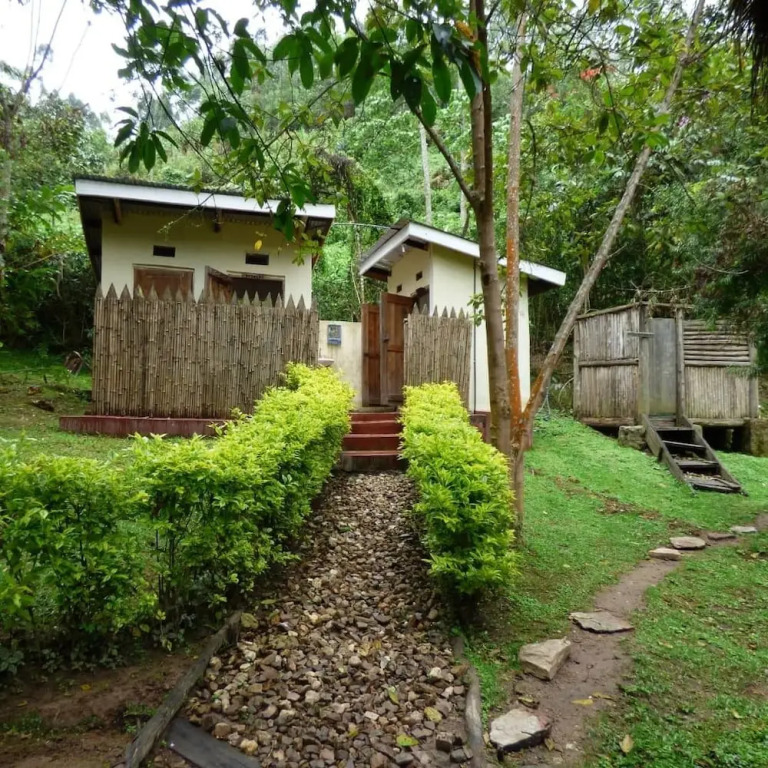 Nshongi Forest Camp