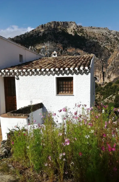 Saluda Alta