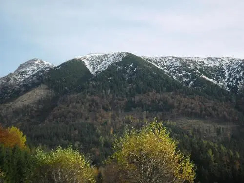Ferienwohnung Ötscherwiese