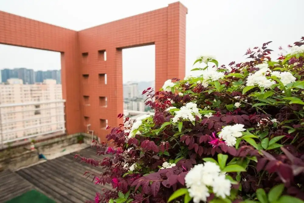 Lotus Apartment