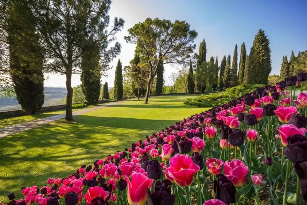 Agriturismo e Agricamping Le Nosare