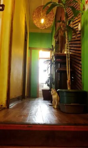 Green Secret Hostal