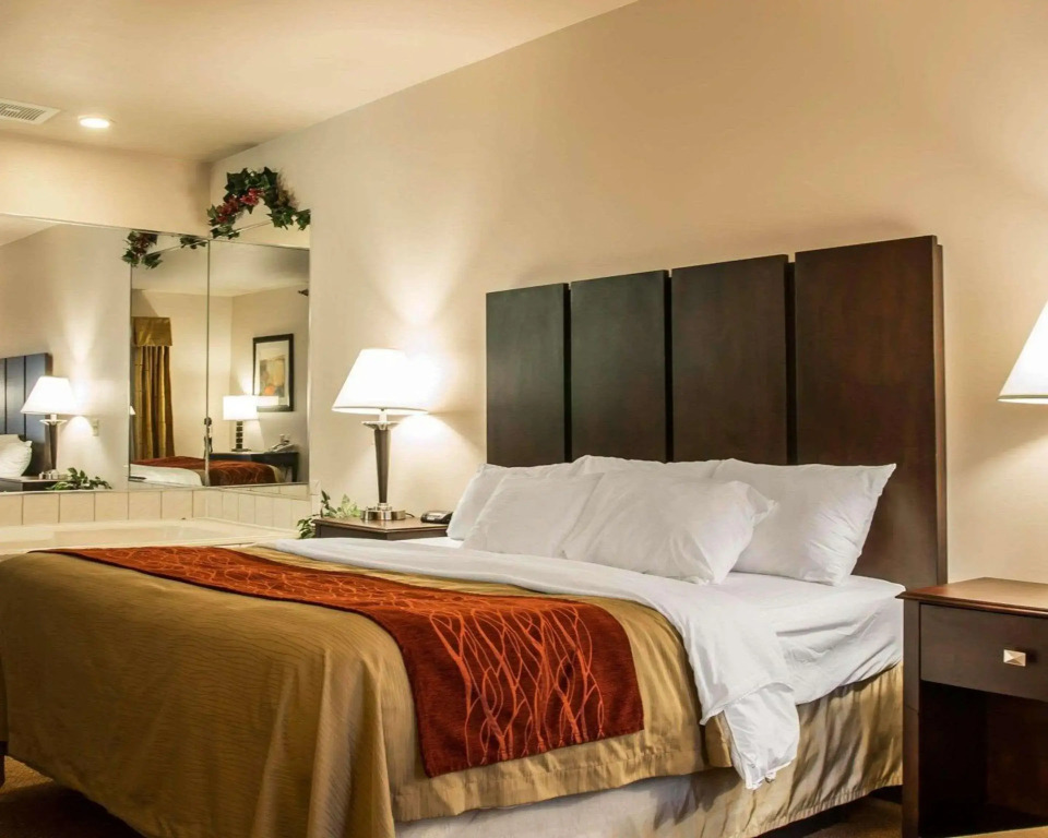Comfort Inn & Suites Fenton