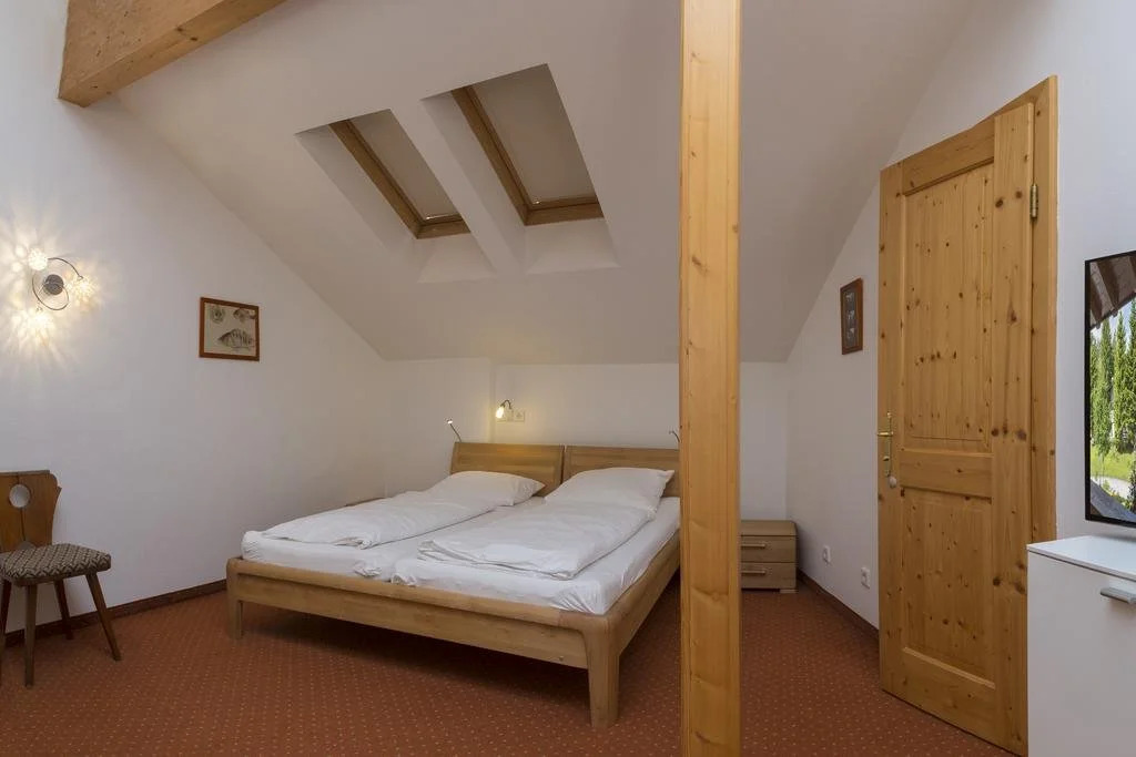 Haus Elisengrund am Geigenbuehel - chalet privé