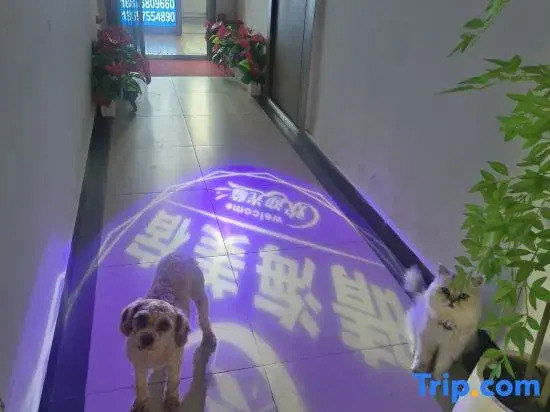 Sanya Qinghai Meisu (Nanfan Science and Technology City)